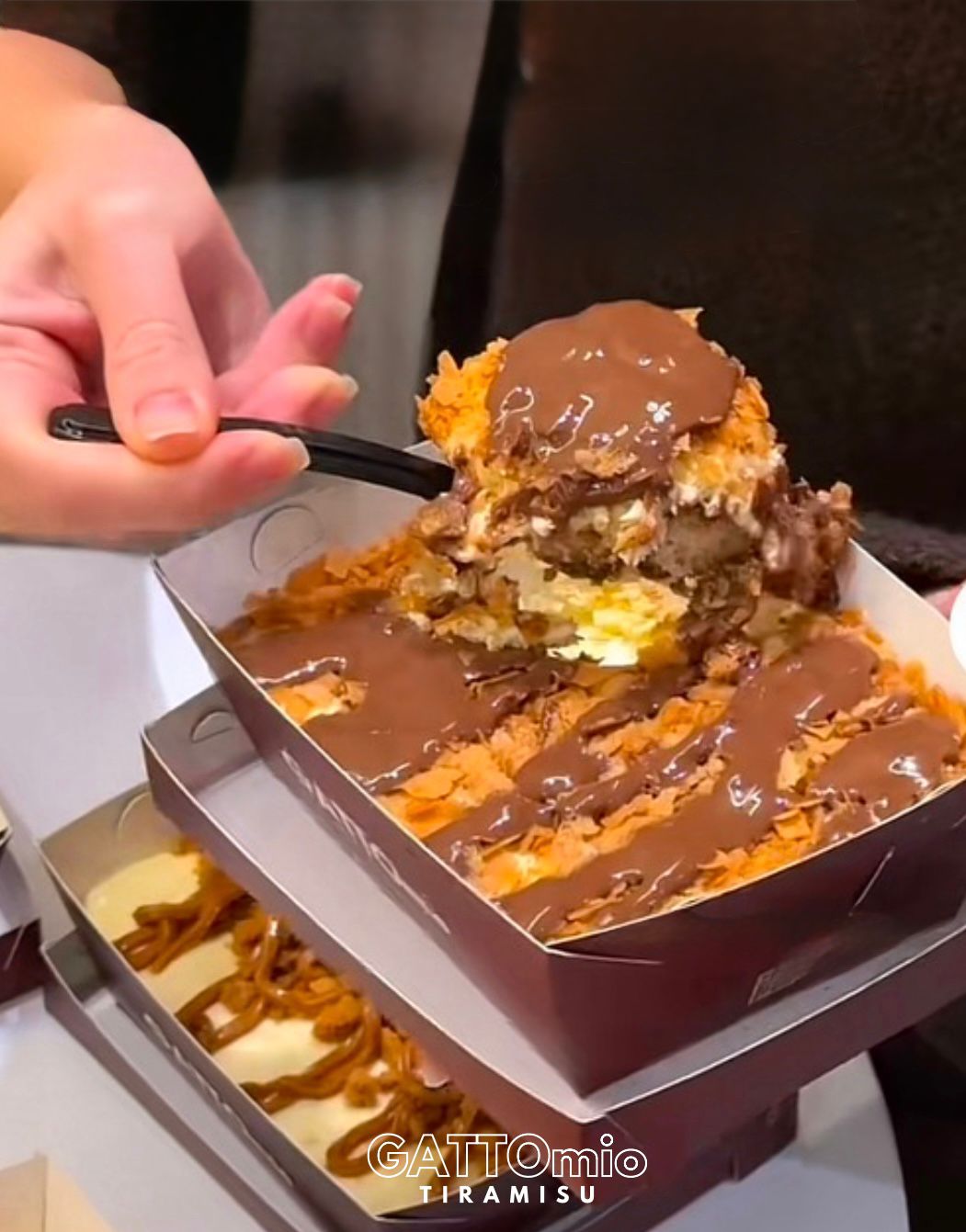 Gatto Mio Tiramisu (Yukarı Bahçelievler)