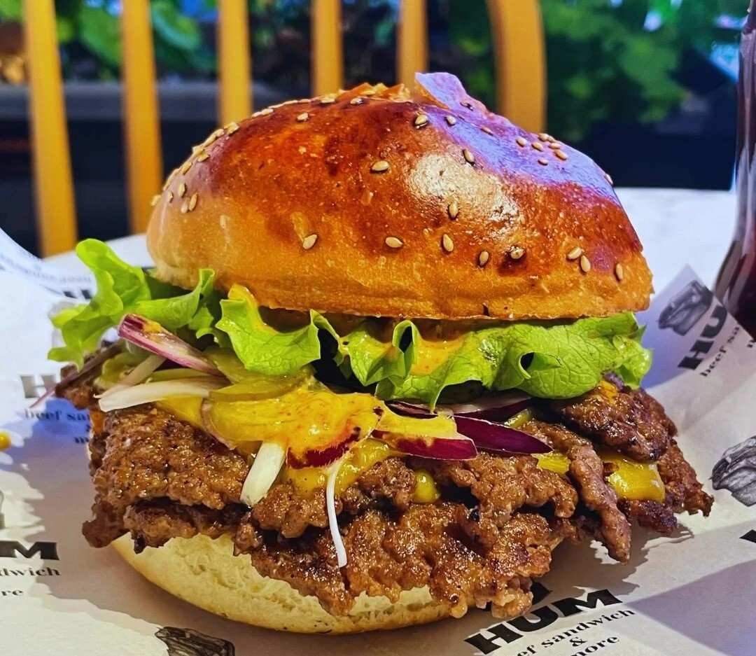 Humburger (Remzi Oğuz Arık)